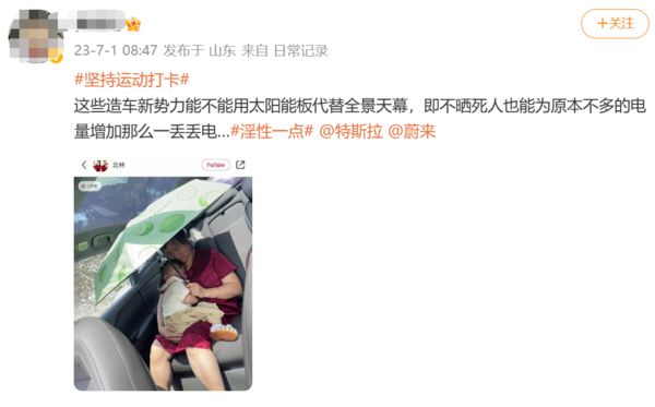 又到新IM电竞能源车烫头季 网友建议用太阳能板取代全景天幕(图2)