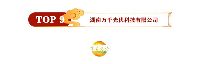 2020年光伏发电十IM电竞大品牌入选名单(图10)