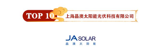 2020年光伏发电十IM电竞大品牌入选名单(图11)