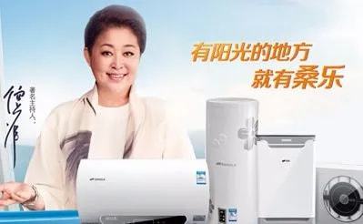 2022十大太阳能热水器品牌TOP排行榜高效、耐用IM电竞、划算！(图4)