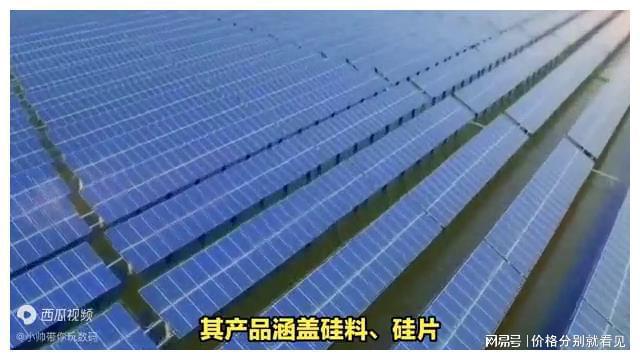 太阳能品牌排行榜前十名：让你的家庭更节能环保IM电竞(图3)