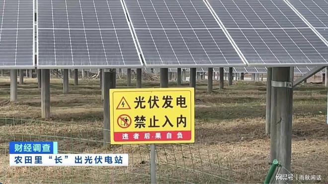 光伏太IM电竞阳能板建在基本农田上农田撂荒这是什么操作？(图1)