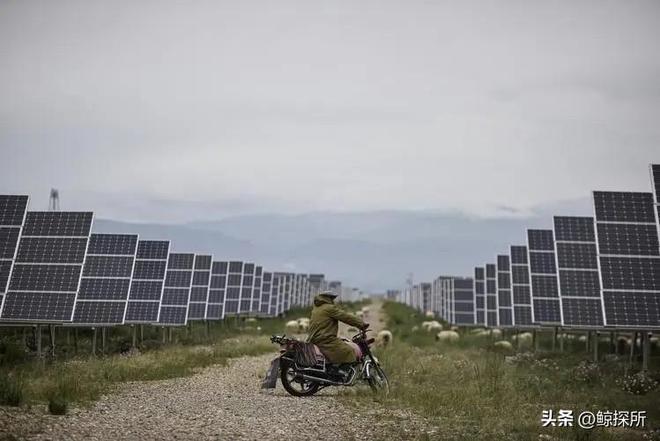 中国最大的乌龙事件：原本打算荒漠建造电厂却意外获得一个牧场(图6)