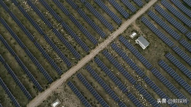 中国最大的乌龙事件：原本打算荒漠建造电厂却意外获得一个牧场(图7)