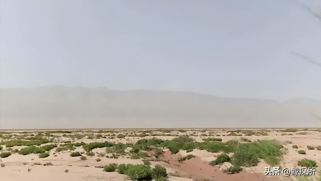 中国最大的乌龙事件：原本打算荒漠建造电厂却意外获得一个牧场(图3)