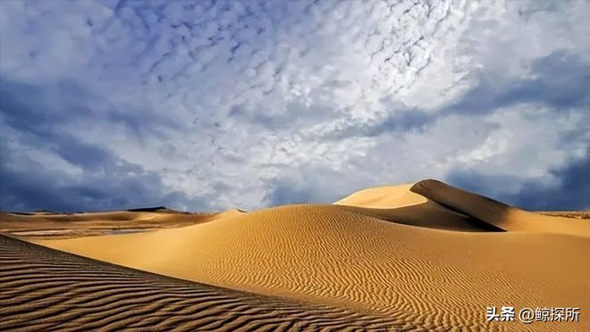 中国最大的乌龙事件：原本打算荒漠建造电厂却意外获得一个牧场(图2)