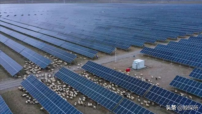 中国最大的乌龙事件：原本打算荒漠建造电厂却意外获得一个牧场(图17)