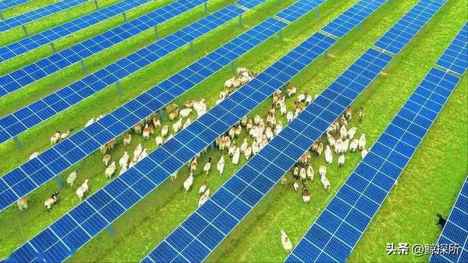 中国最大的乌龙事件：原本打算荒漠建造电厂却意外获得一个牧场(图21)