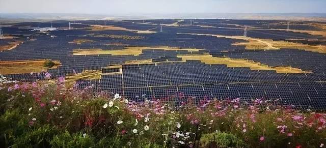 太阳能电池板成欧洲新宠：不装屋顶当围栏这是闹哪样？(图9)