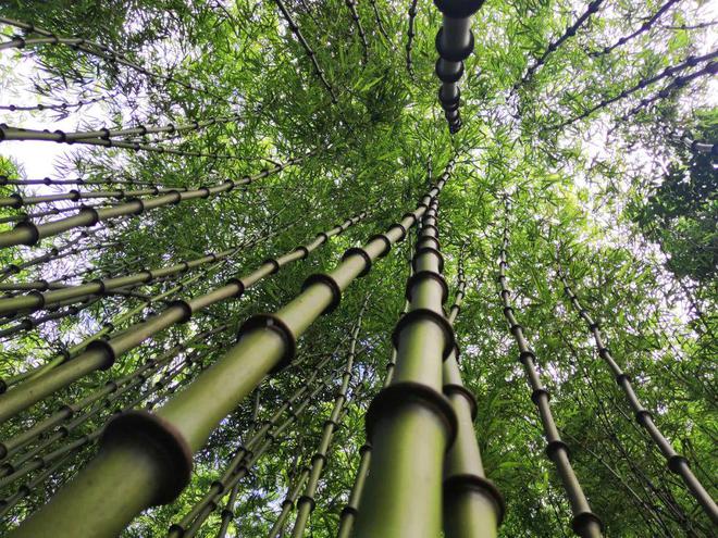 江作青罗带 山如碧玉簪！看云南昭通的生态之景、江河之景、产业(图5)